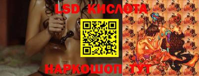 прущие грибы Будённовск