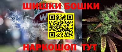 прущие грибы Будённовск