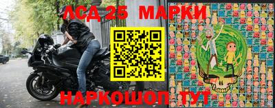 прущие грибы Будённовск