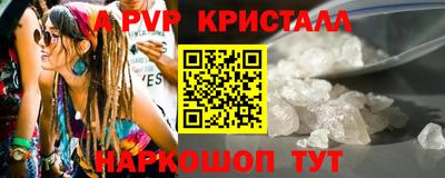 прущие грибы Будённовск