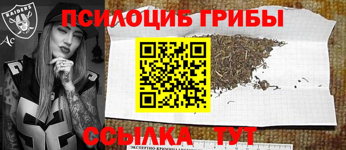 Полысаево  Галлюциногенные грибы прущие грибы  Псилоцибиновые грибы мицелий  Вход с VPN 