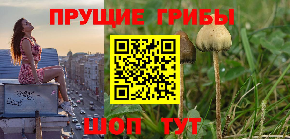 Галлюциногенные грибы мицелий Полысаево